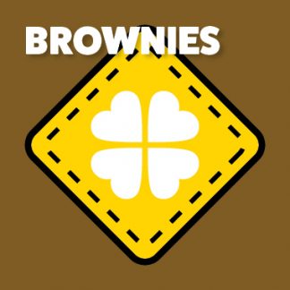 Brownies