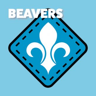Beavers